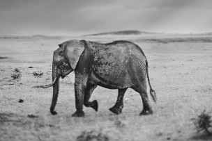 Africa // Traveling Photographer